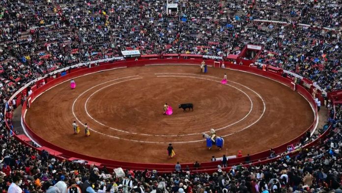 Autoriza la corte corrida de toros