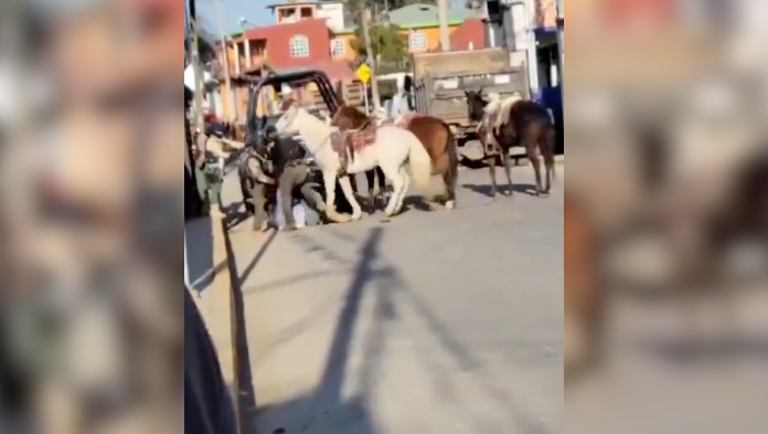 VIDEO | Presuntos elementos de la Fuerza Civil agreden a ciudadano; SSP ya investiga