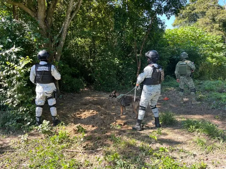FGE investiga hallazgo de un cuerp0 semienterrado en Tihuatlán, Veracruz: CEB