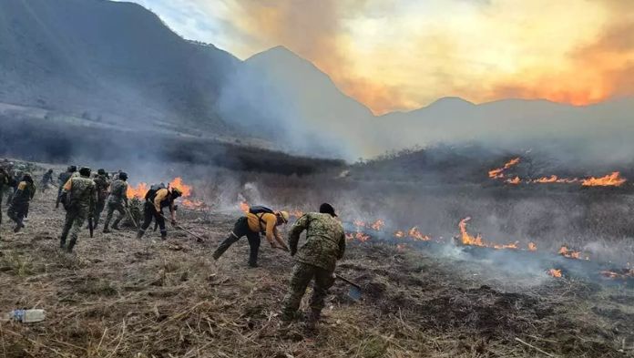 PC reconoce 620 hectáreas afectadas por incendios en Altas Montañas