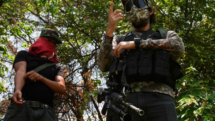 Se disputan Veracruz 14 cárteles de acuerdo con reportes de organizaciones civiles