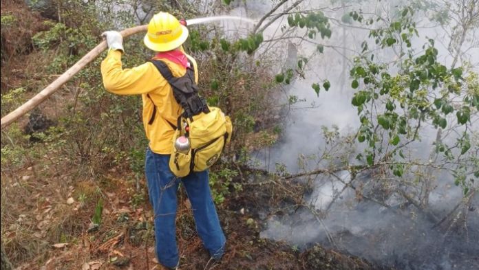 Combaten 10 incendios forestales activos en Veracruz