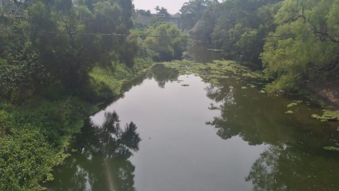 Presas en territorio veracruzano presentan bajo nivel: Conagua