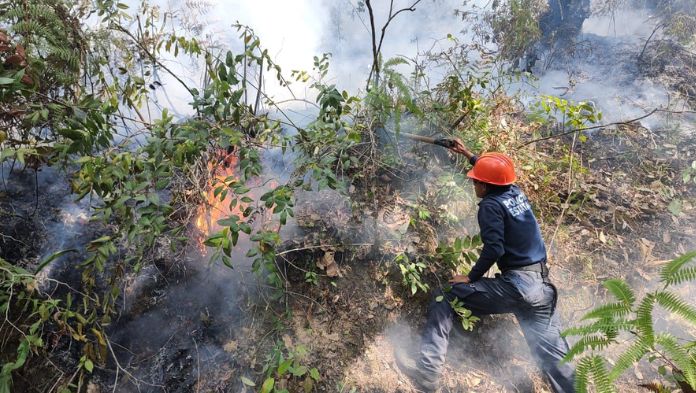 Veracruz con 125 incendios forestales y 6 mil 667 hectáreas afectadas