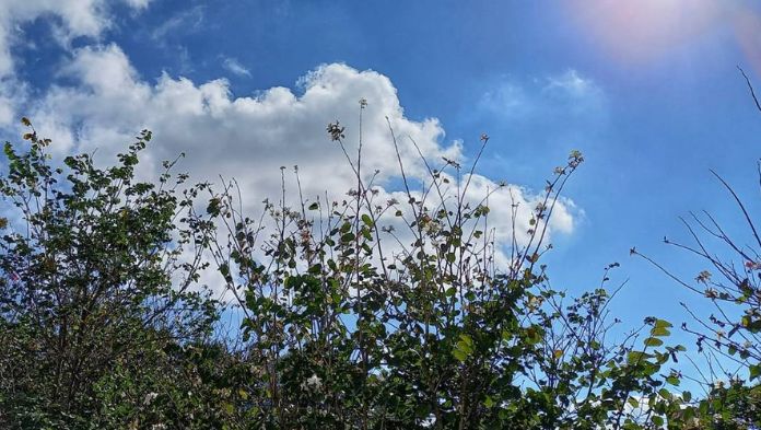 SPC emitió una Alerta Climática para el estado de Veracruz