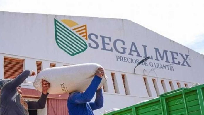 Desvían al extranjero fondos de Segalmex: FGR