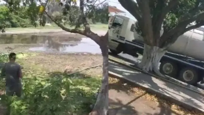 Compra dos pipas y vierte el agua en la Laguna de Lagartos