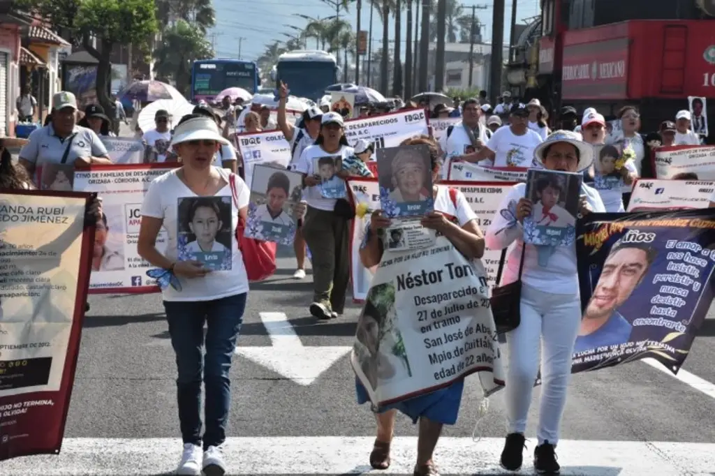 Consejo ciudadano de búsqueda quedará “desmantelado” en julio