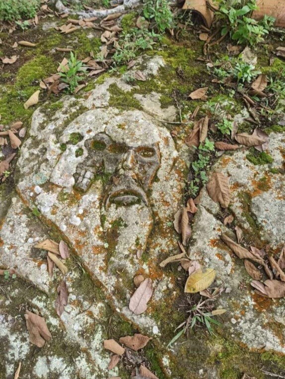 Hallan supuestos vestigios vikingos en tierras veracruzanas