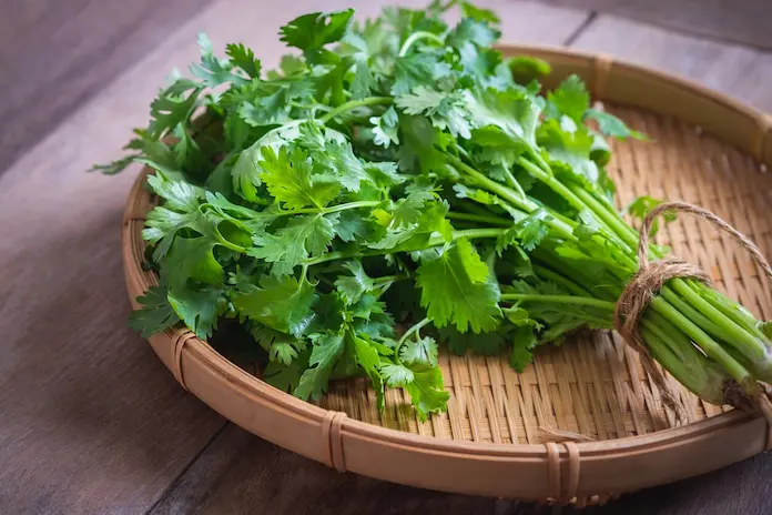 Sube el precio del cilantro hasta 400 por ciento