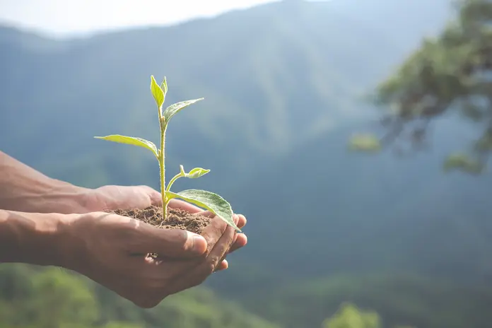 Invita IMSS Veracruz Norte a cuidar del medio ambiente para evitar enfermedades o complicaciones de salud