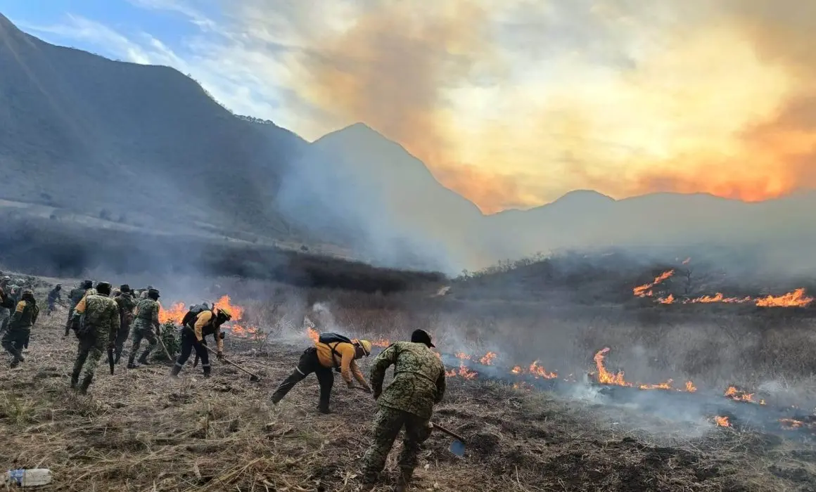 El año 2024 supera al 2023 en incendios forestales en Veracruz