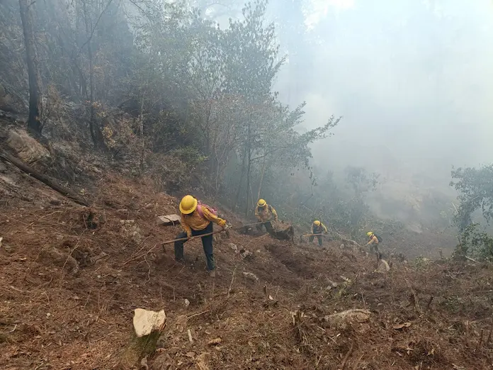 En combate activo 19 incendios en el estado