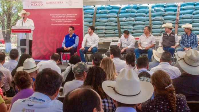 Arranca Agricultura entrega de semilla certificada para aumentar producción de frijol