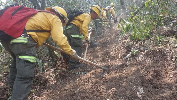 SPC pide a ciudadanía evitar desinformación sobre incendios en Veracruz
