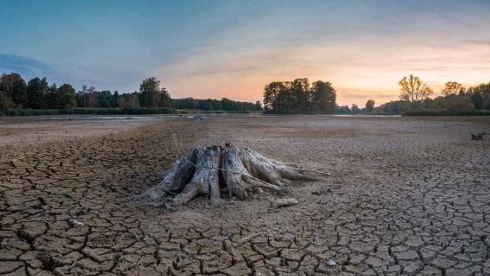 Se eleva la sequía a 89.5% en el territorio mexicano por falta de lluvias