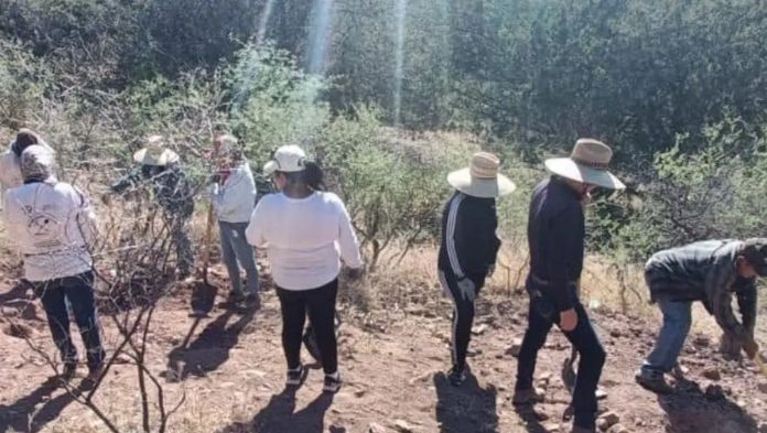 Colectivos hallan al menos 20 cuerpos en fosas clandestinas en Nogales