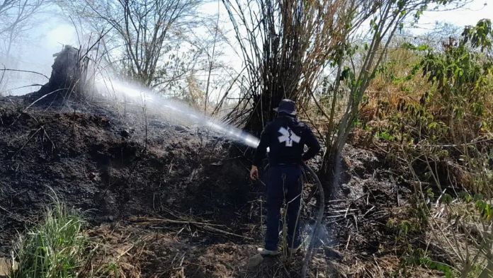 Gobierno de veracruz denunciará a responsables de incendios en la entidad
