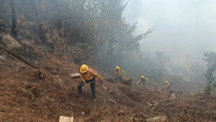 Diputado pide emitir declaratoria de emergencia por incendios forestales