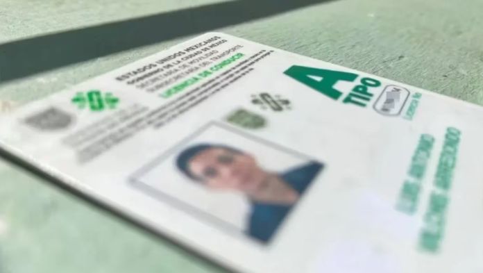 Analizan establecer a nivel nacional las licencia de conducir permanente