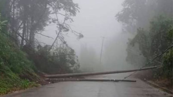 Tormenta «Alberto» causó derrumbes y bloqueos en carreteras cerca de Xalapa