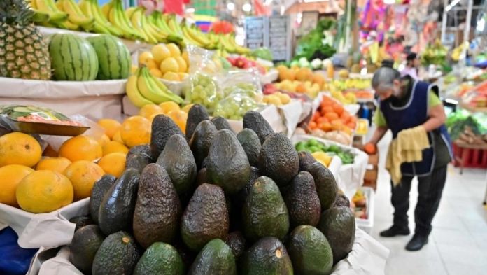 Reinician envíos de aguacate y mango a EU