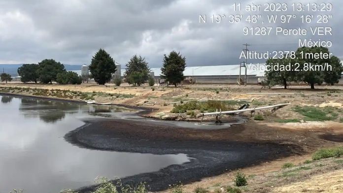 Granjas Carroll fue multada en 2023 por anomalías, pero se amparó: PMA