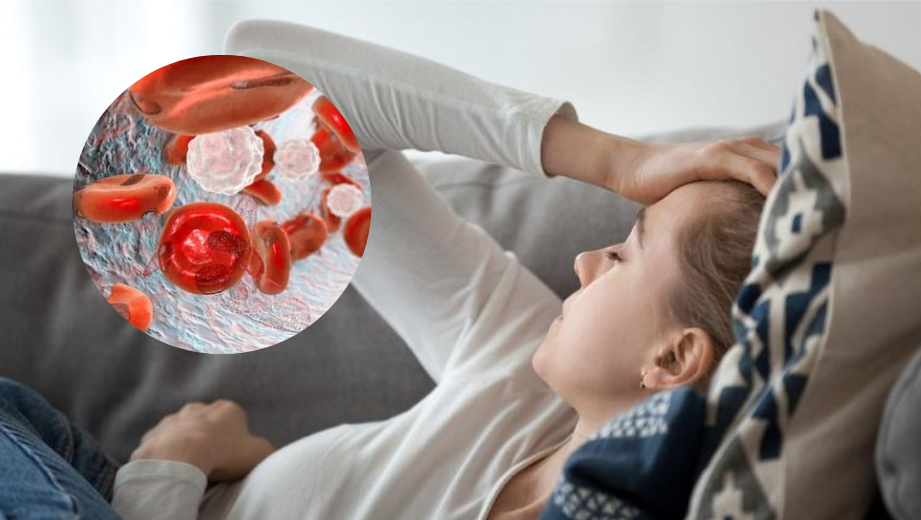 Informa IMSS Veracruz Norte sobre síntomas de anemia