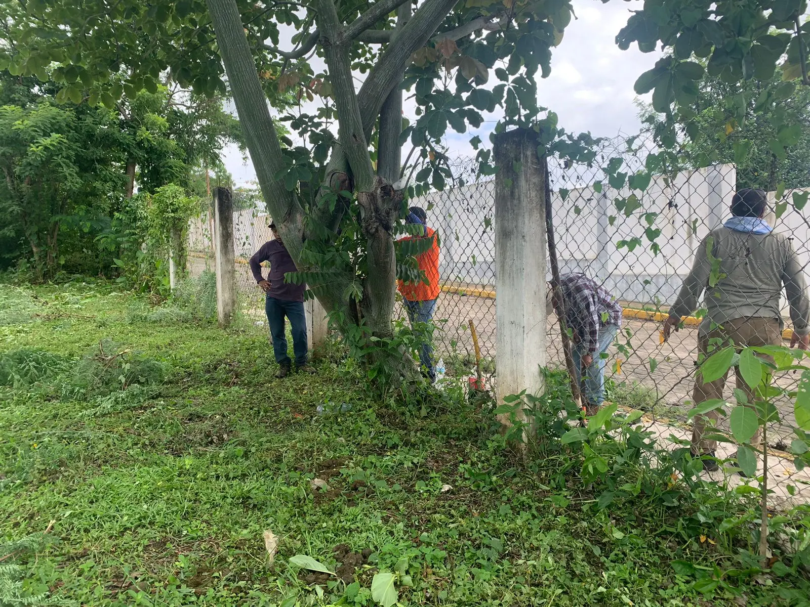 Chapeo y limpieza en el Lienzo Charro en Santiago Tuxtla