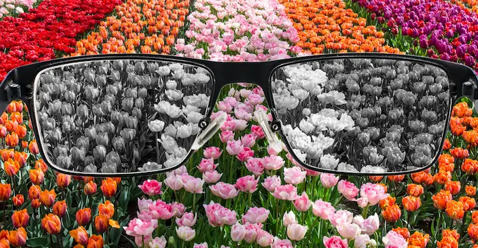 Informa IMSS Veracruz Norte sobre algunos síntomas y como identificar el daltonismo