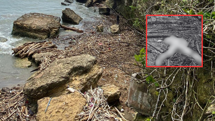 Hallan cuerpø sin vida en la Playa de Cazones, Veracruz