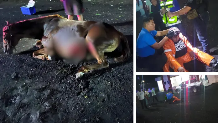 Motociclista se impacta contra un caballo en Lerdo de Tejeda