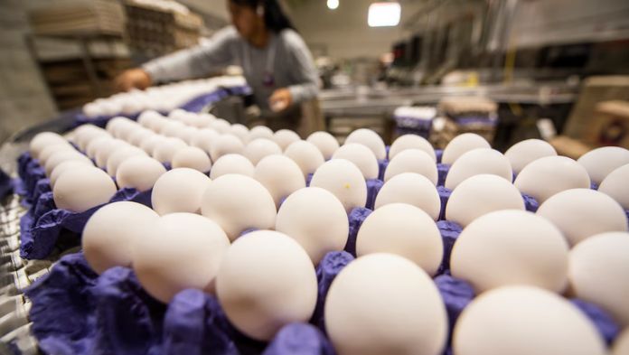 Se encarece el precio del huevo