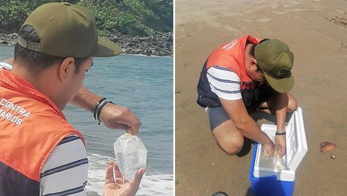 Fenómenos hidrometeorológicos causantes de variación en muestreos de agua en playas veracruzanas: Sesver