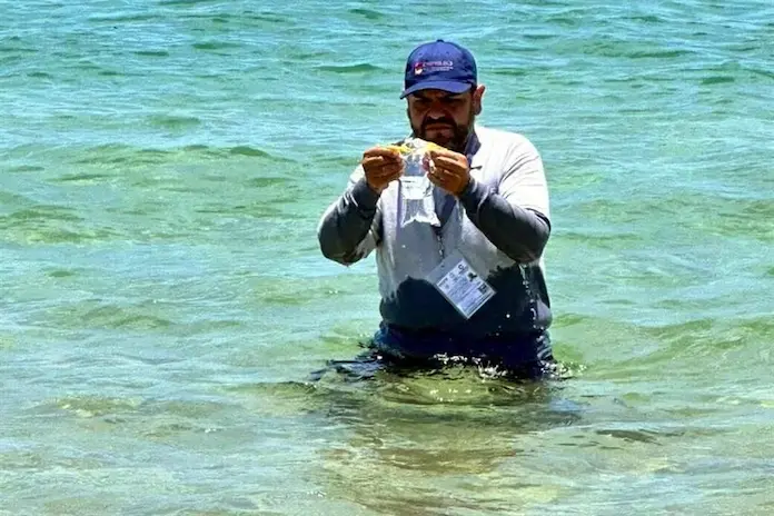Vas de vacaciones de verano a la playa; éstas son las 10 más contaminadas de Veracruz según la Cofepris