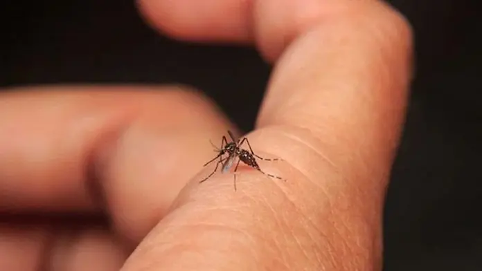 Ya son diez las muertes por dengue en Veracruz