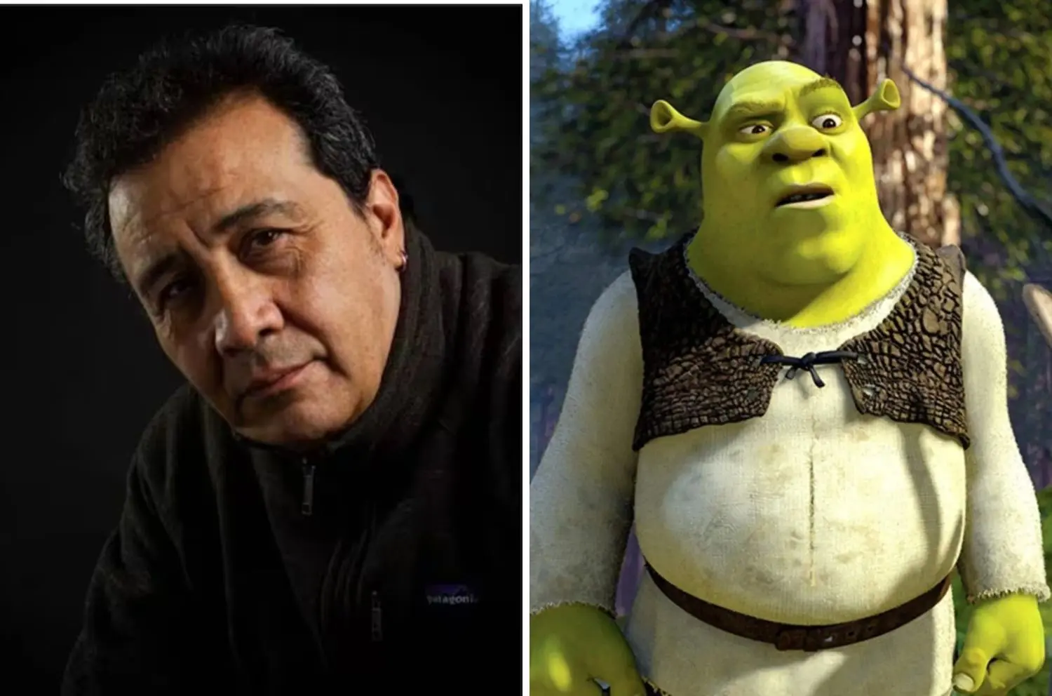 Detienen a Alfonso Obregón, voz de Shrek, acusado de abuso sexual