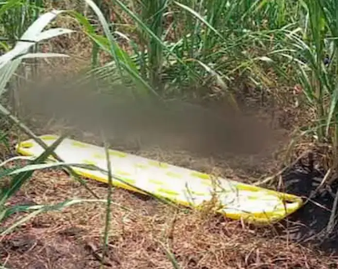 Hallan a persona degøllad@ en Hueyapan de Ocampo