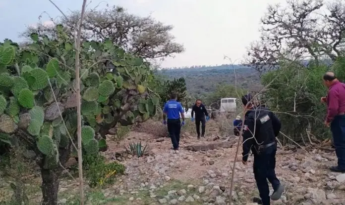 Investigan la muerte simultánea de al menos 15 vacas en Paso del Macho