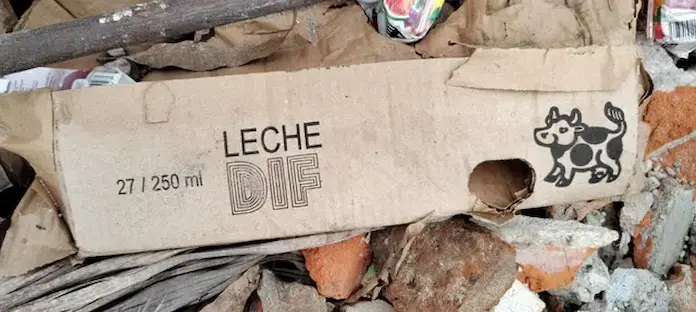 Hallan en basurero 100 paquetes de leche que entrega el DIF de Veracruz a estudiantes