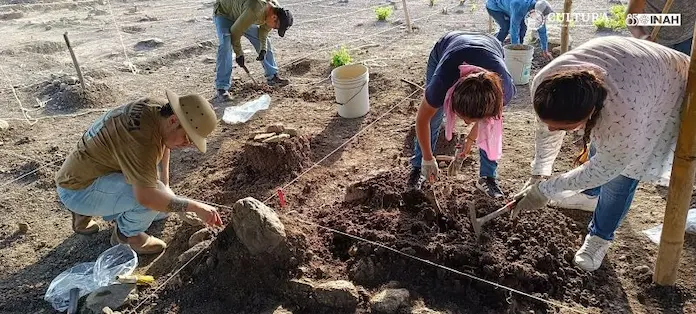 Hallan casa construida con piedra monolítica en Papantla