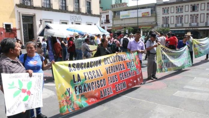 Cafetaleros acusados por empresa AMSA piden disolución del caso, «tenemos desconfianza»