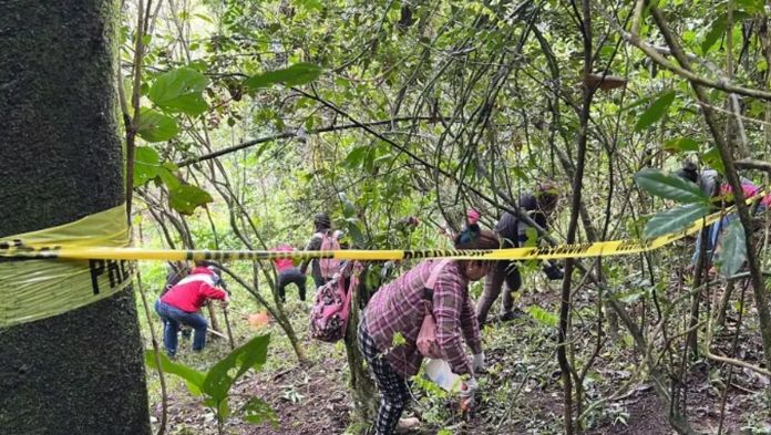 Veracruz es el segundo estado a nivel nacional con mayor número de fosas clandestinas