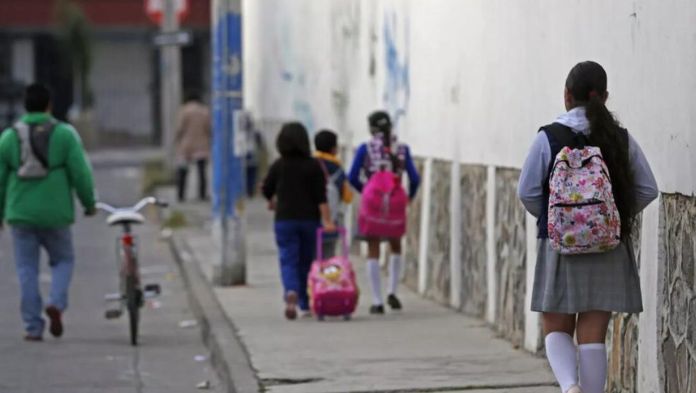 Más de 2 millones de estudiantes iniciarán ciclo escolar 2024-2025 en Veracruz