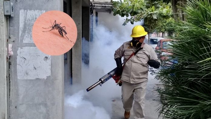 En el año se han registrado 2 mil casos de dengue en Veracruz