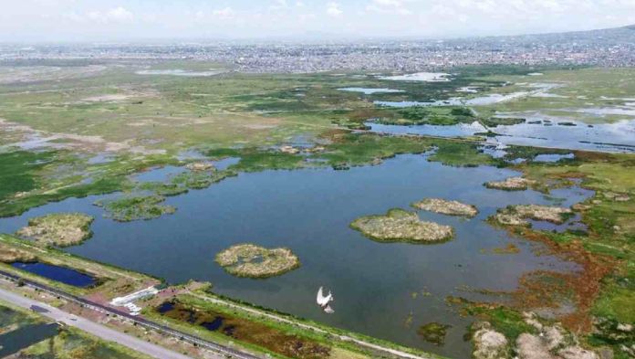 Cesan al director de construcción del Parque Ecológico Lago de Texcoco tras derrame de dos millones de metros cúbicos de agua