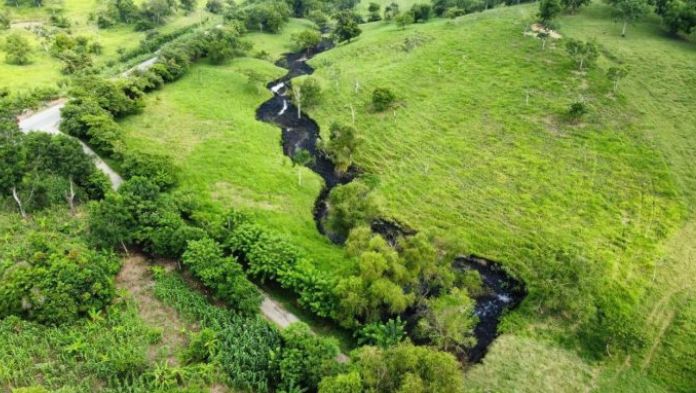 Derrame de hidrocarburo contamina arroyo en Papantla