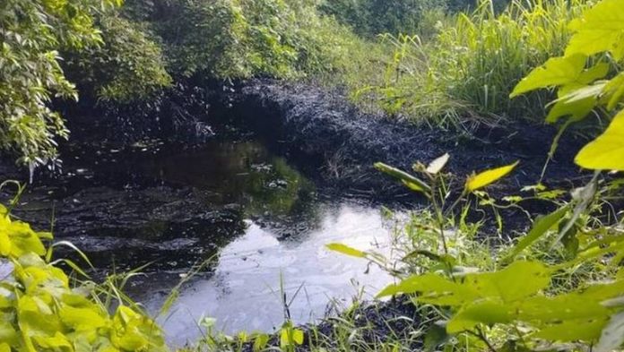 Derrame de petróleo contamina arroyo en Papantla, Veracruz