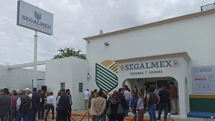 Daño patrimonial en caso Segalmex asciende a 2 mil 200 mdp