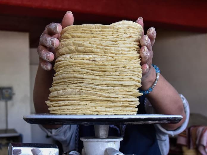 Gobierno promete bajar el precio de la tortilla en 10 % y autosuficiencia en maíz y frijol